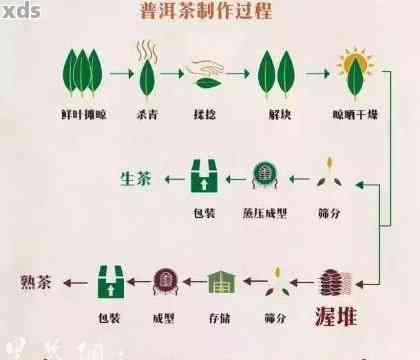 '普洱茶转化期的科学原理与条件：揭示其独特风味的秘密'