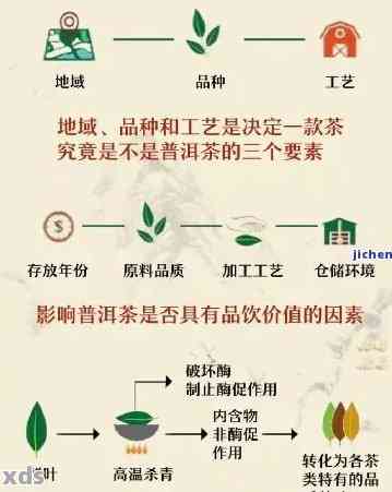 '普洱茶转化期的科学原理与条件：揭示其独特风味的秘密'