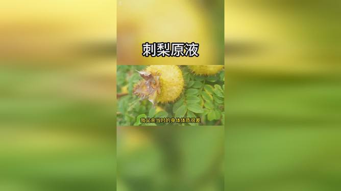 刺梨原液保健功效：全面解析其作用与效用