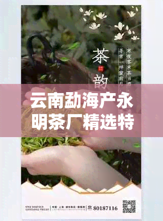 永明茶厂生态普洱茶：价格，品质，陈化，健，品鉴，新茶叶发布