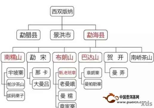 普洱茶生产地的和地区名称。