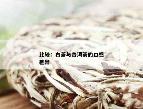 白茶、普洱茶口感对比：深入剖析两种茶叶的独特风味与区别