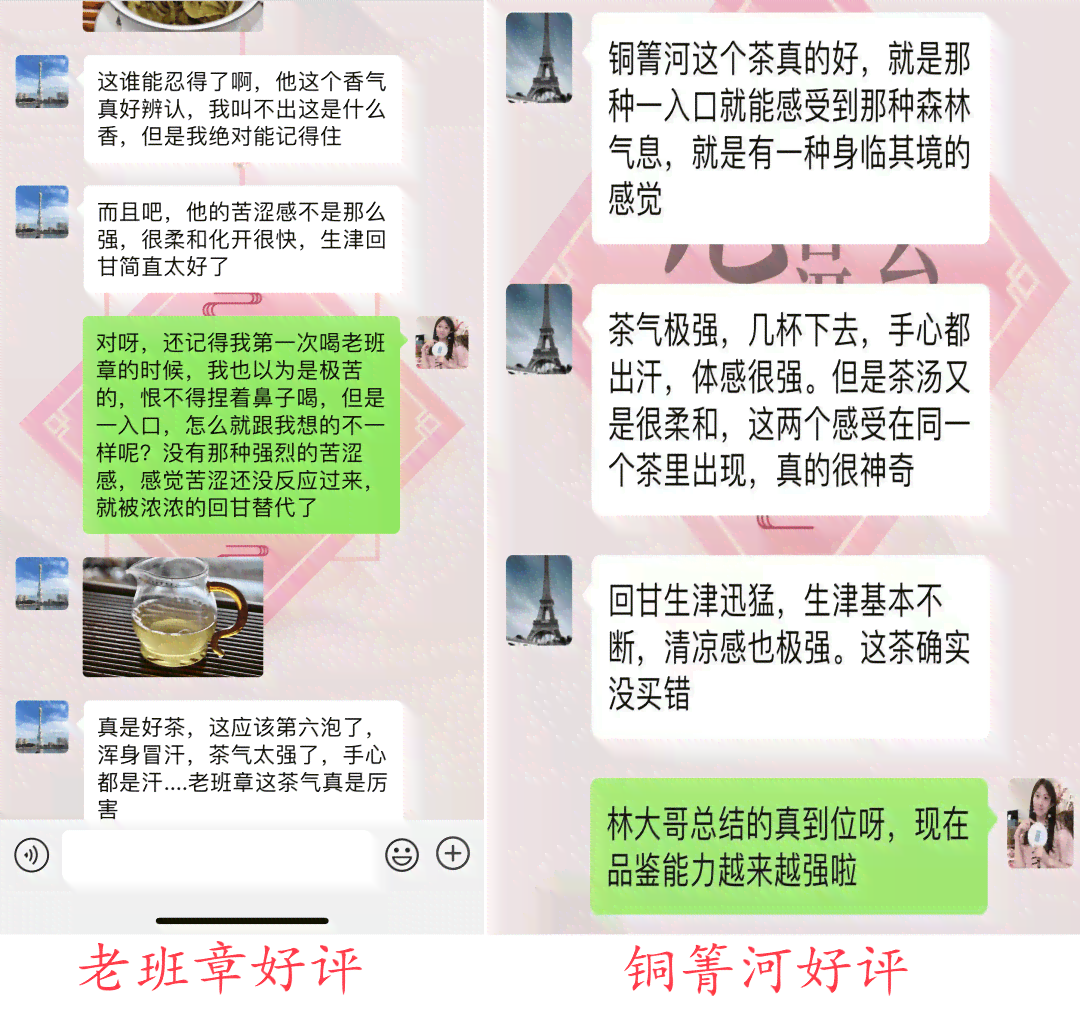 云南特产普洱茶优质购买渠道大汇总，助您轻松找到购物平台与品尝体验