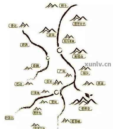 全面解读六大茶山普洱茶2014:产地、品质、口感及收藏价值一应俱全