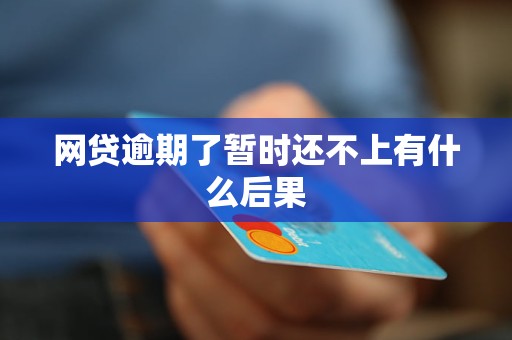 全面解析：网贷逾期的法律后果与处理方法，助您避免违法行为