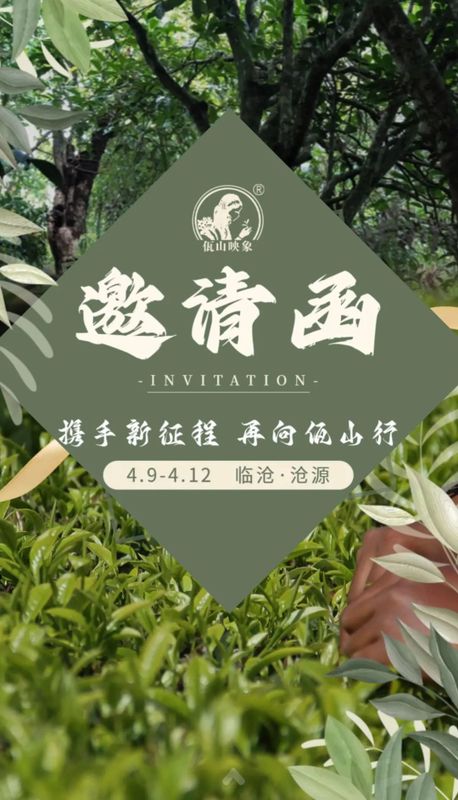 新清明时节采摘的绿茶，品味春天的爽与新生