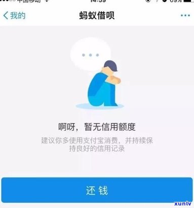 关于借呗，您是否可以暂停还款并在特定时期恢复？