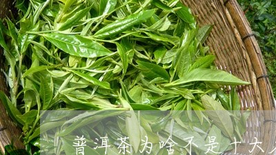 为什么普洱茶不是名茶呢