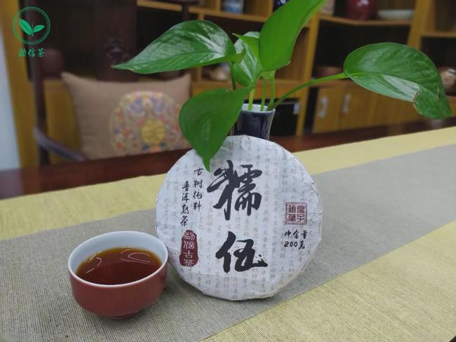 为什么普洱茶不是名茶呢