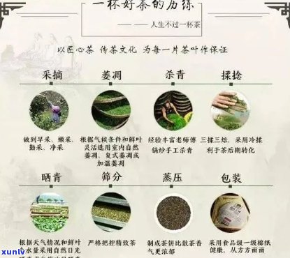 天野茶业精选普洱茶系列价格指南，专业品质与价值的完美融合