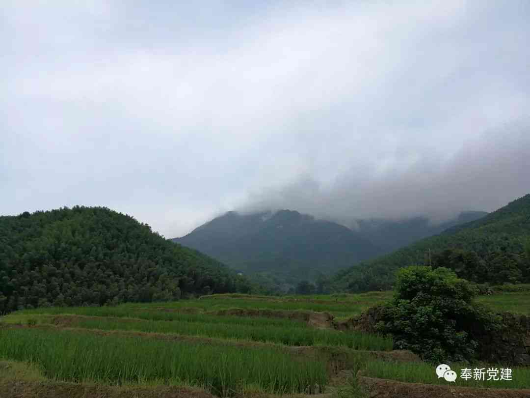 探寻宜黄县新丰乡：玉石宝藏之地还是神秘未知？