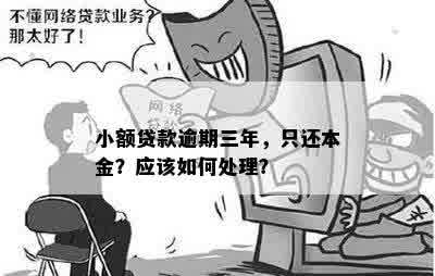 小额贷款逾期三年，只要还本金：如何处理及影响？