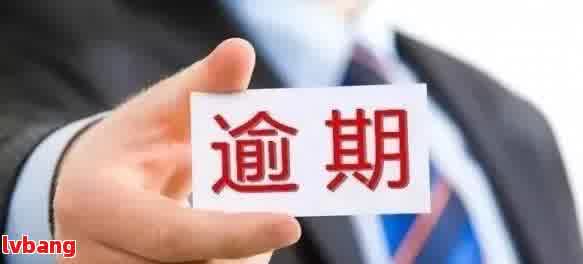 新如果网贷逾期，他们会采取哪些措来处理？