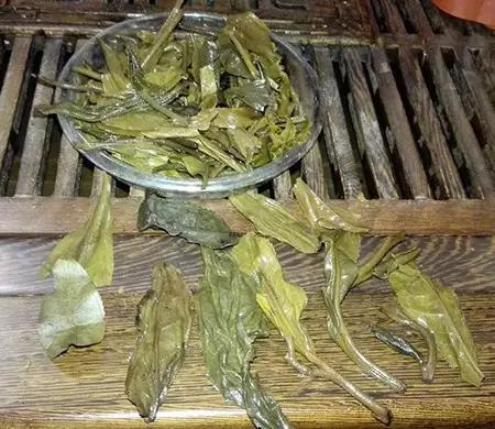 西双版纳高山大树普洱茶