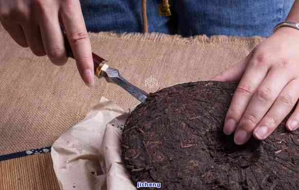 如何在家制作美味普洱茶饼：步骤详解与技巧分享