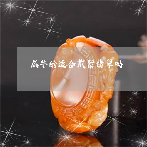 属牛的人可以戴翡翠手镯吗：男女皆宜，展现独特魅力