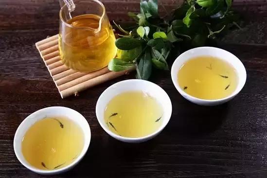 广西金花茶与普洱茶的制作区别：独特工艺与地域风味的差别