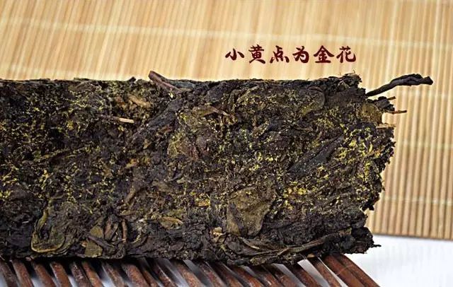 广西金花茶叶的全方位功效解析：如何利用其健益处改善生活质量？