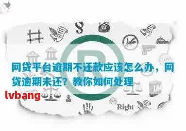 网贷逾期还款能力不足？解决方案和建议一文解析