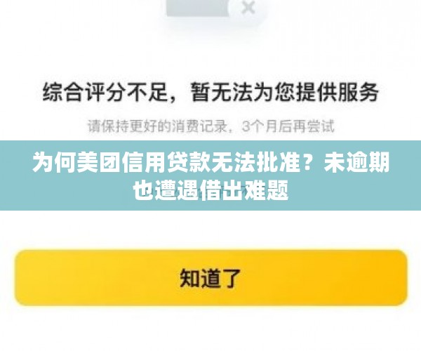 新 美团外卖上的借钱功能存在逾期限制，用户疑惑为何无法使用