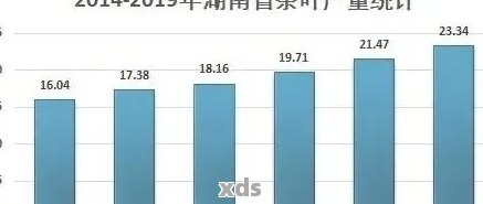 新2021年普洱茶市场趋势预测：产量、价格与消费者需求分析