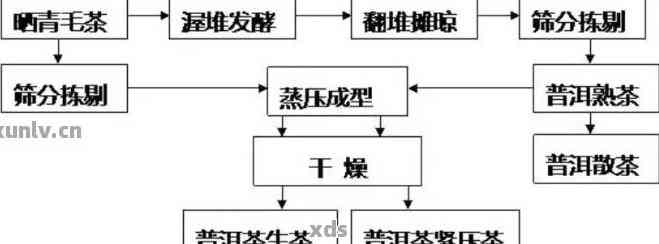 2020普洱茶：品种、产地、制作工艺、品鉴方法与口感全解析