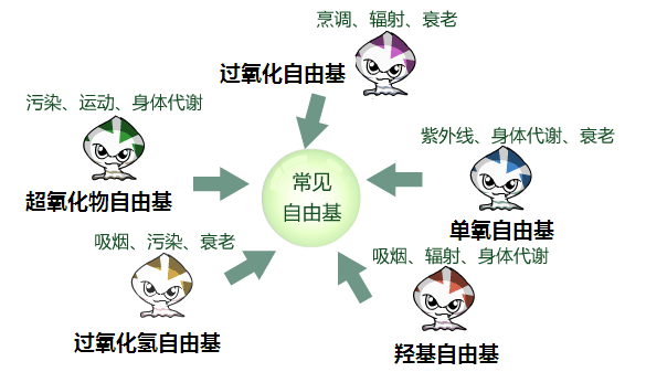 探索黄金玉的神秘魅力：它对人体健康的多方面益处