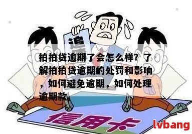 7年逾期未还款的处理策略及应对方法，为用户提供全面解决方案