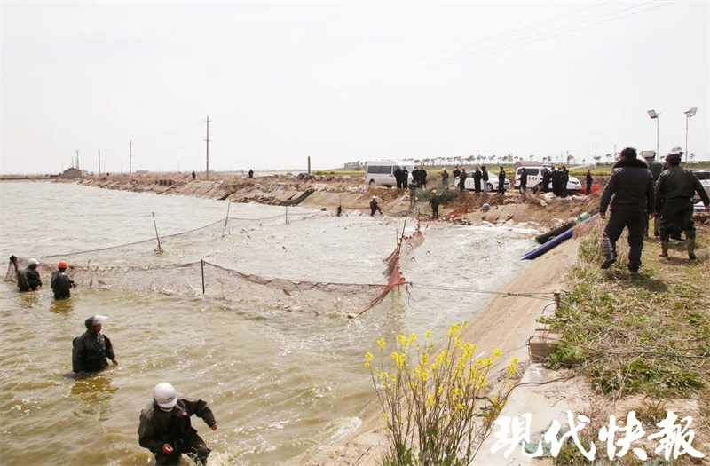 标题建议：逾期贷款公证的必要性及处理方法，如何避免逾期贷款产生？