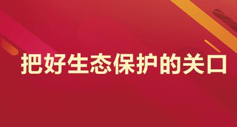 借呗逾期考公务员：可能性、影响及编制问题