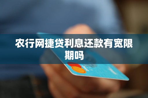 农行网捷贷还款账号