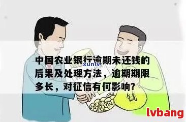 农行掌银：处理信用卡逾期问题全攻略