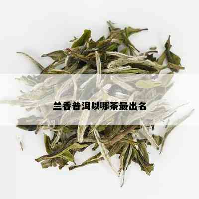 兰花香普洱茶品种及茶叶介绍