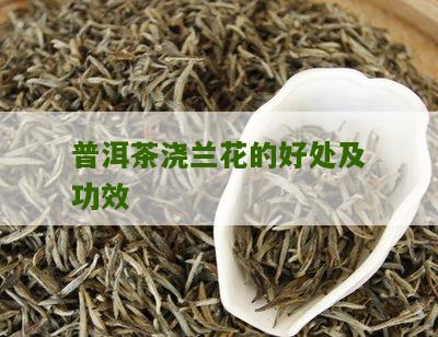 兰花炒普洱茶怎么做好喝