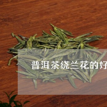 兰花炒普洱茶怎么做好喝