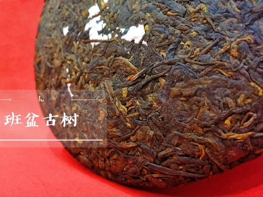 普洱茶散开后为何呈现苦味？原因及解决方法全面解析