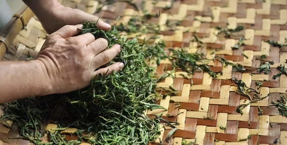 普洱茶的苦涩味：原因与解决方法