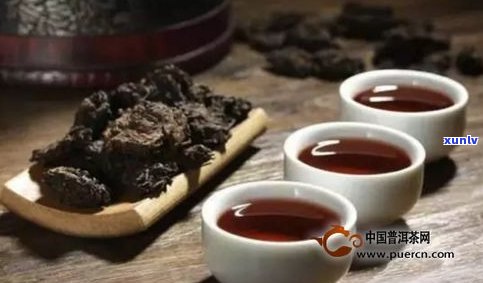 黑加仑普洱茶怎么做好喝：简单易学的制作方法与品饮技巧