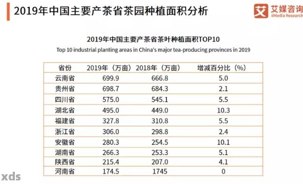 2023年十大更受欢迎普洱茶品种：品质、口感与收藏价值分析