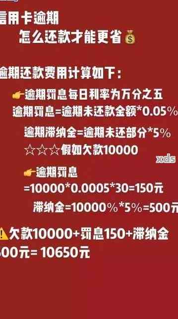 网贷逾期后：一次性全额还款还是分期偿还？哪个更适合你？