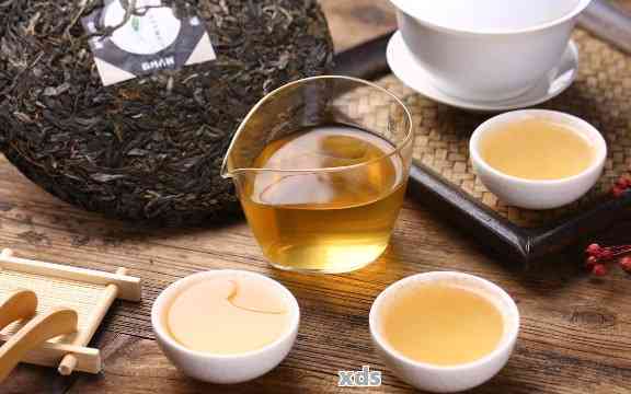 新探索普洱茶的魅力：一泡可以反复品味的茶叶