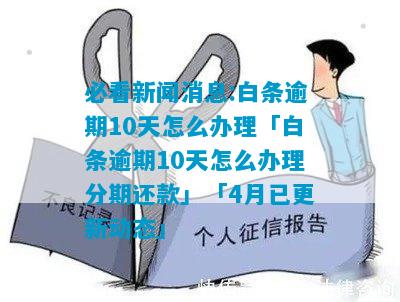 白条逾期被取消分期了怎么办？逾期10天取消分期处理方式