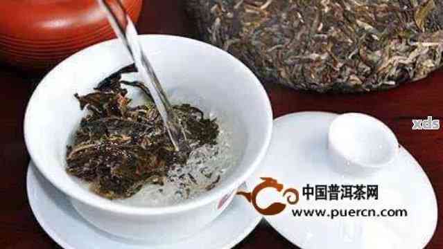 普洱茶的冲泡量：如何控制茶叶与水的比例以获得口感