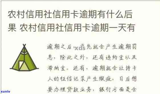 农村信用社信用卡逾期一天的影响及处理方法