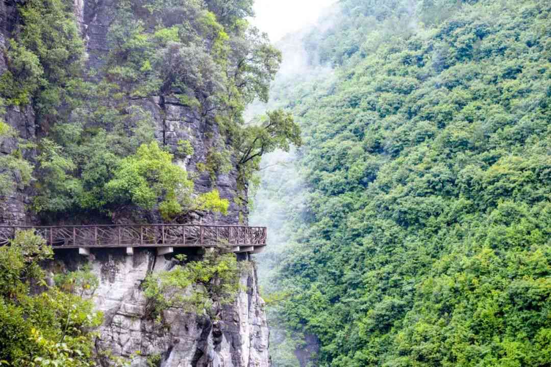 揭秘：张家界扶贫翡翠项目的真实情况和影响