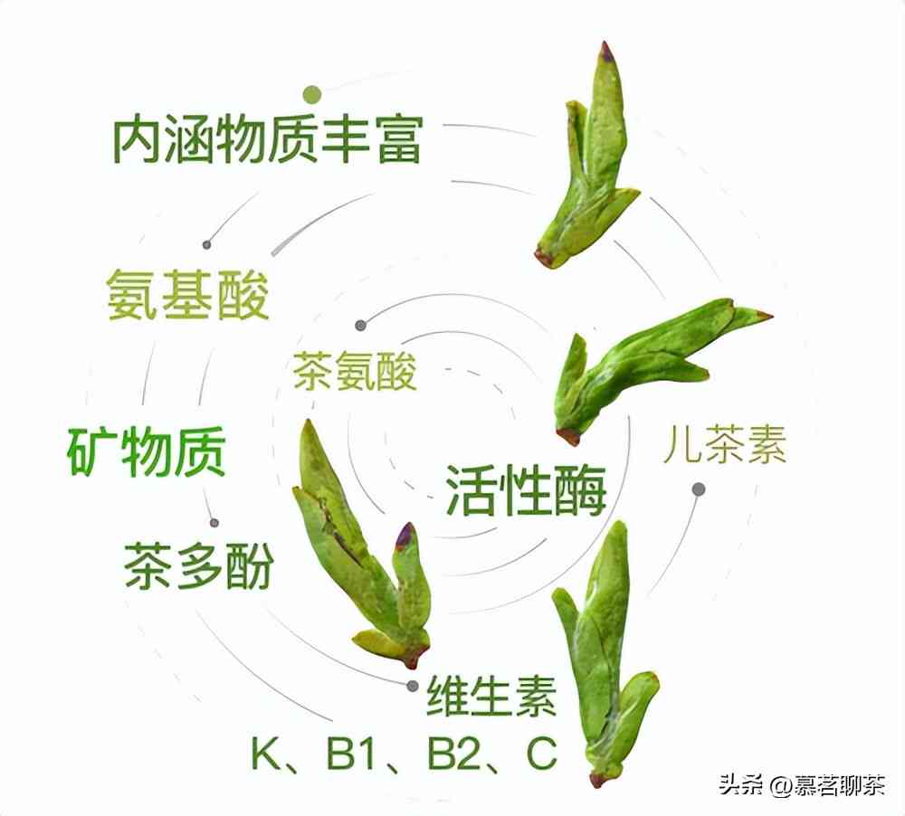 普洱茶口感偏涩怎么回事