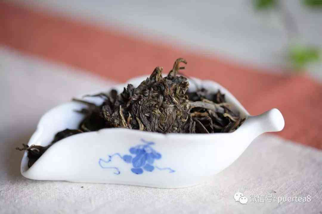 勐库西半山：探寻普洱茶品种宝藏，品味古树茶香