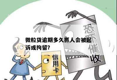 微立贷逾期后果及处理方式：是否会被拘留？详细解答与建议