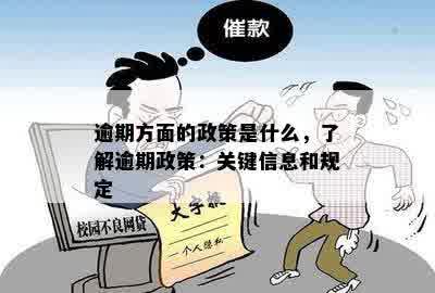 三个月逾期未超过90天：了解相关政策和应对措