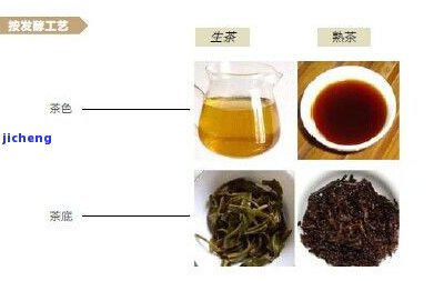 云南大叶种普洱茶：生茶还是熟茶？了解茶叶种类与发酵程度的关键区别